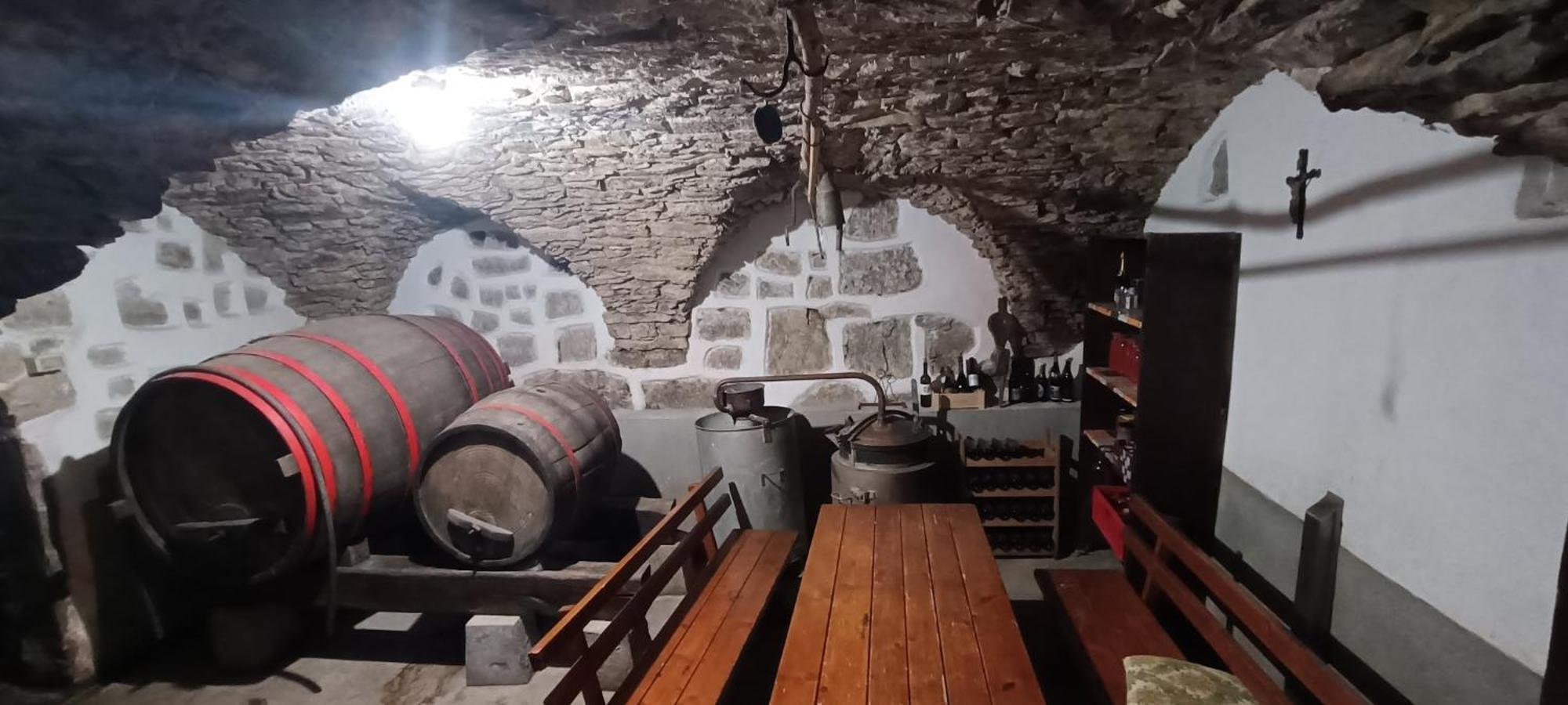 Homestead - Domacija - Nabergoj Podnanos Extérieur photo